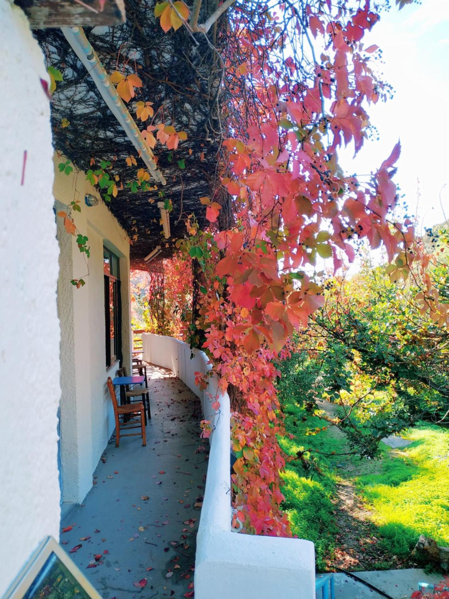 Oleander'S Garden Traditional Cretan Cottage Ferma Exterior foto
