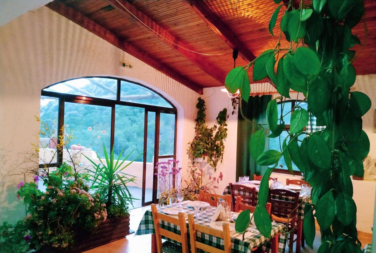 Oleander'S Garden Traditional Cretan Cottage Ferma Exterior foto